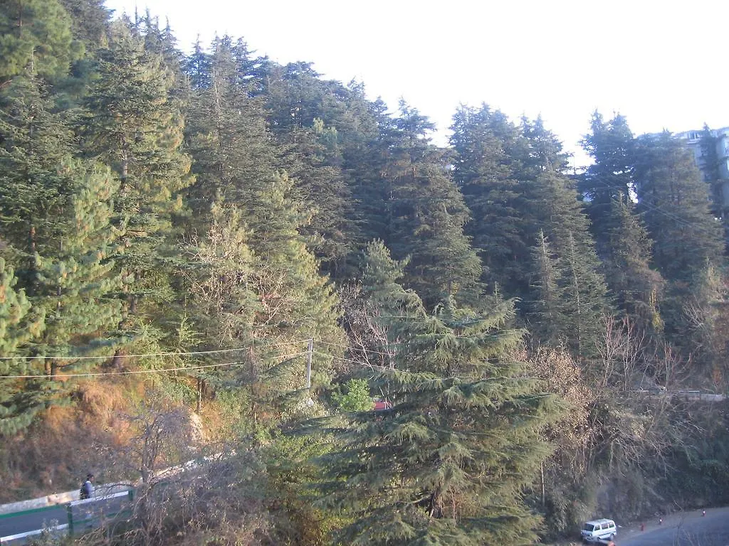 Shimla View Home 2*,