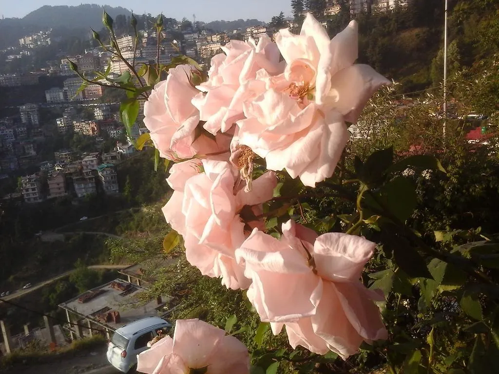 Bed & Breakfast Shimla View Home